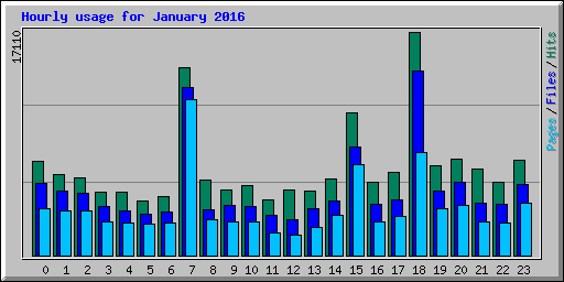 Hourly usage for January 2016